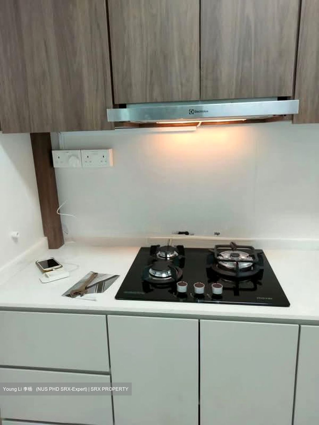 Blk 43A Skyoasis @ Dawson (Queenstown), HDB 4 Rooms #531894561